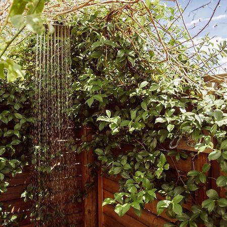 فندق The Bean Tree ماكغريغور المظهر الخارجي الصورة