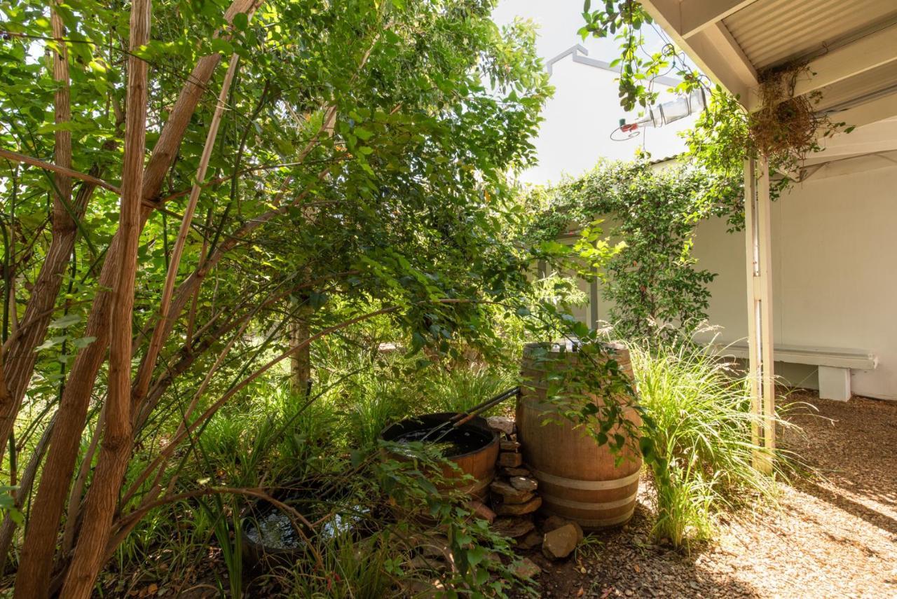 فندق The Bean Tree ماكغريغور المظهر الخارجي الصورة